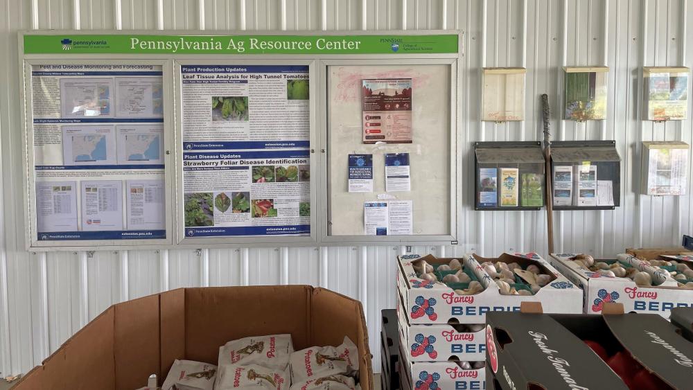 Penn State Extension expands resources for growers at produce auctions